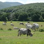 Отель La Mimosa Капальбио